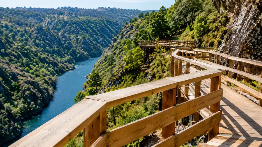 Best Paiva Walkways Tours and Day Trips from Porto